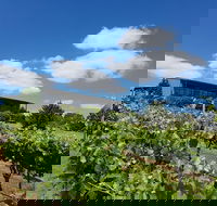 Traralgon Vineyard - Pubs Melbourne