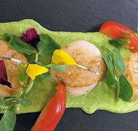 Cafe Amphora - Pubs Melbourne