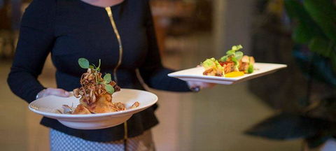 Cafe Amphora - Pubs Melbourne 1