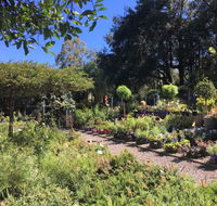 Yatte Yattah Nursery  Cafe - Pubs Melbourne