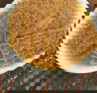 Johnny Fongs - Pubs Melbourne