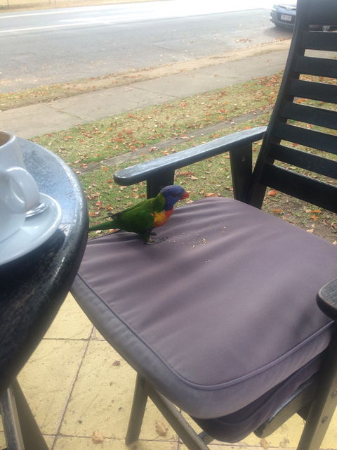 Julie's At The Rectory - Pubs Melbourne 4