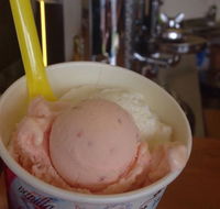 Bermagui Gelati Clinic - Pubs Melbourne