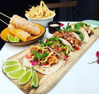 Chihuahua - Pubs Melbourne