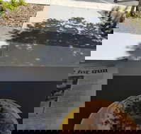 Queen of Tarts Toronto  Cessnock - Pubs Melbourne