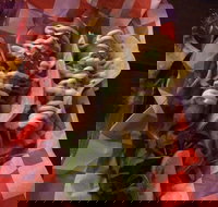 Cantina On Capri - Pubs Melbourne