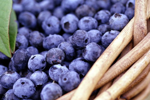 Drum Drum Blueberry Farm - Pubs Melbourne 0