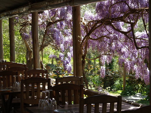 Skillogalee Winery & Restaurant - Pubs Melbourne 2