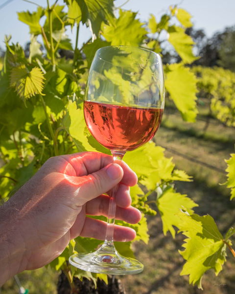 Breakfast Creek Vineyard - Pubs Melbourne 0