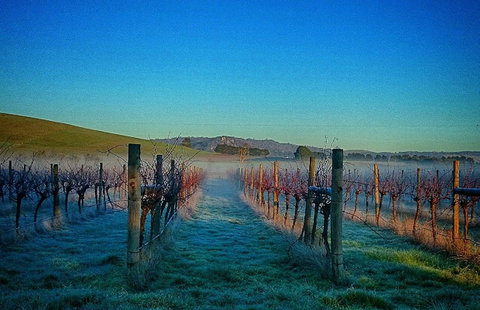 Eastern Peake Winery - Pubs Melbourne 0