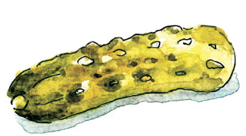 Gherkin Garden By Bethany Wines - Pubs Melbourne 1