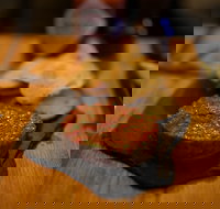 Hell of the North - Pubs Melbourne