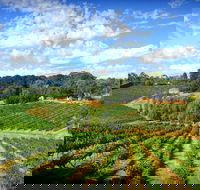 Kellybrook Winery and Kelly Brothers Cider - Pubs Melbourne