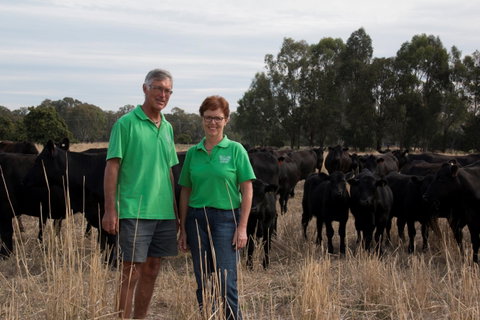 Milawa Organic Beef - Pubs Melbourne 0