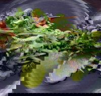 Bellbird - Pubs Melbourne