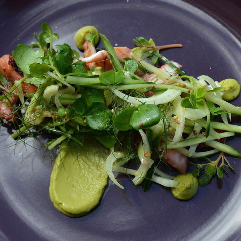 Bellbird - Pubs Melbourne 0