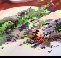 YaYa Bar and Eatery - Pubs Melbourne