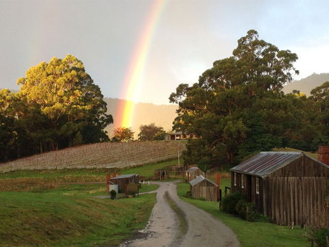 Hartzview Vineyard - Pubs Melbourne 0