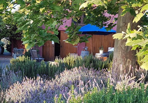 Macquariedale Organic Wines - Pubs Melbourne 0