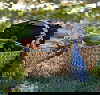 Rowlee Wines Picnic Hamper - Pubs Melbourne