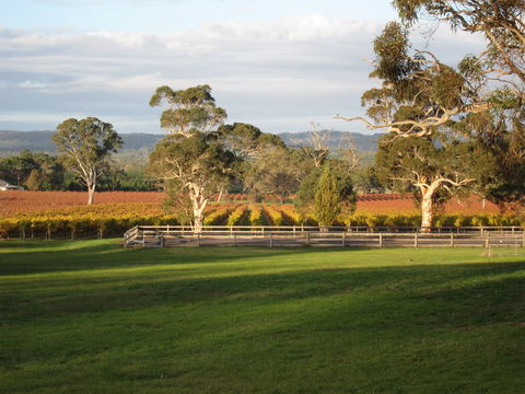 Top Note Vineyard - Pubs Melbourne 1