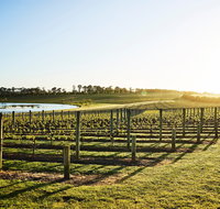 Wine Terrace and Cellar Door at Pt Leo Estate - Pubs Melbourne