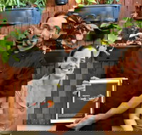 Masala Fusion - Pubs Melbourne