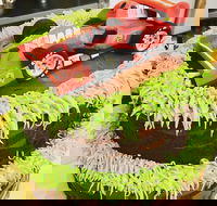 Runaway Cupcakes - Pubs Melbourne