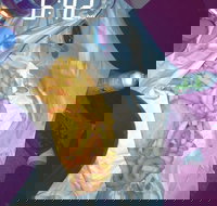 Sharks Tail Fish  Chippery - Pubs Melbourne