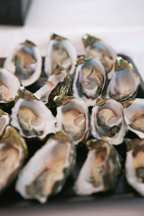 S.D. Caputo And Sons - Pubs Melbourne 0