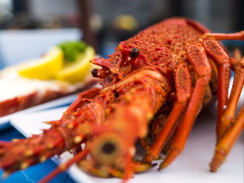 Freycinet Marine Farm - Pubs Melbourne 0