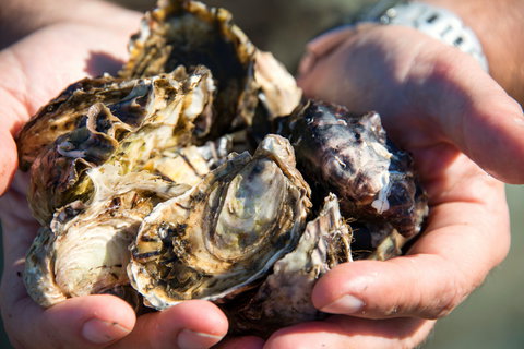 Freycinet Marine Farm - Pubs Melbourne 2