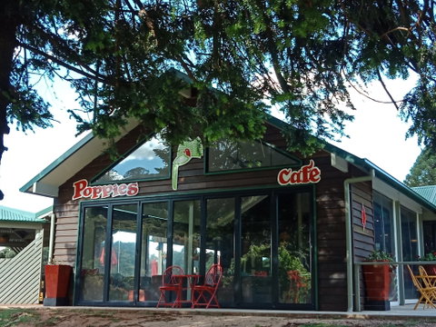 Poppies  Cafe - Pubs Melbourne 0