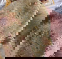 Zaika Tandoor - Pubs Melbourne