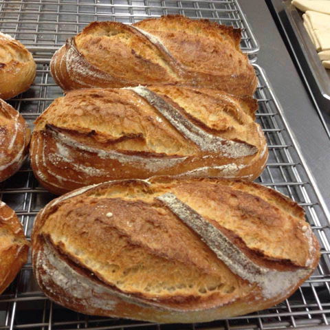 Harvest Boulangerie Patisserie - Pubs Melbourne 0