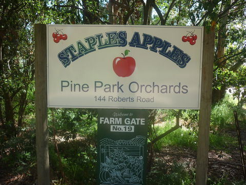Staples Apples - Pubs Melbourne 2