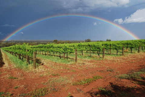 Whistling Kite Biodynamic Wines - Pubs Melbourne 1