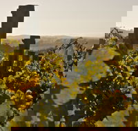 Wimbaliri Wines - Pubs Melbourne