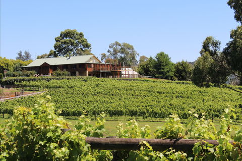 Djinta Djinta Winery - Pubs Melbourne 0