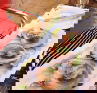 Sirocco Noosa - Pubs Melbourne