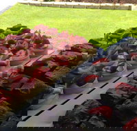 That Food Truck - Pubs Melbourne