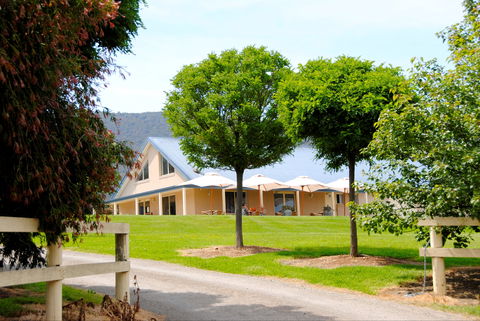 Badger Creek Blueberry Winery - Pubs Melbourne 0