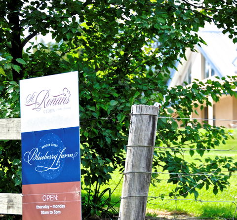 Badger Creek Blueberry Winery - Pubs Melbourne 1