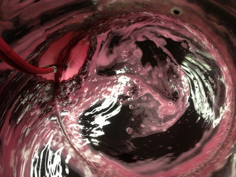 Badger Creek Blueberry Winery - Pubs Melbourne 2