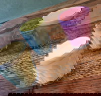 Charlie and Leo's - Pubs Melbourne