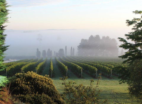 Cherry Tree Hill Wines - Pubs Melbourne 2