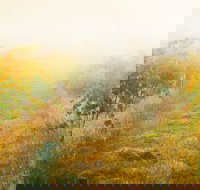 Poonawatta - Pubs Melbourne