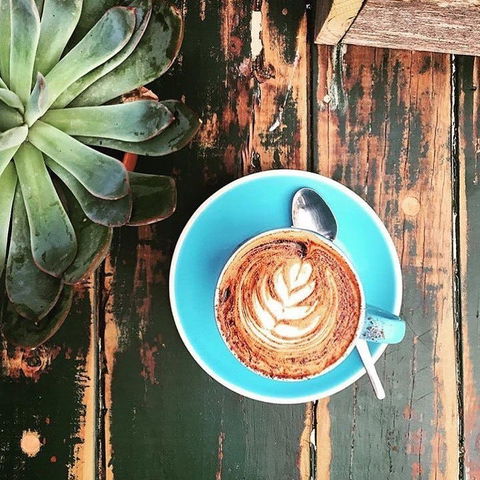 Charlotte's Little Sister - Pennant Hills - Pubs Melbourne 0