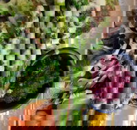 Stone cold - Pubs Melbourne