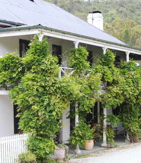 The Common Ground Cafe And Bakery - Pubs Melbourne 0